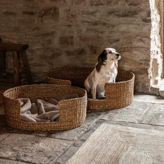 Brading Pet Beds - Two Sizes1 - Duck Barn Interiors