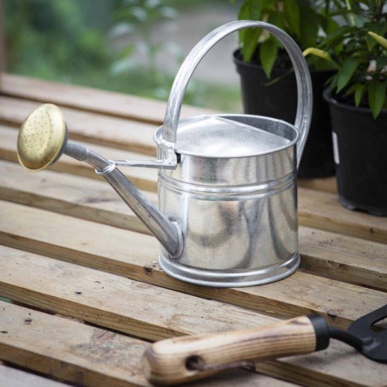 Classic Watering Can - Silver (3 Sizes)3 - Duck Barn Interiors