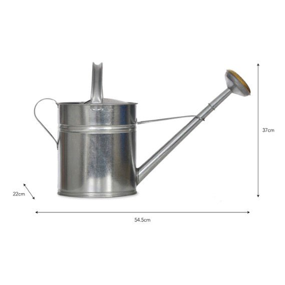 Classic Watering Can - Silver (3 Sizes)4 - Duck Barn Interiors