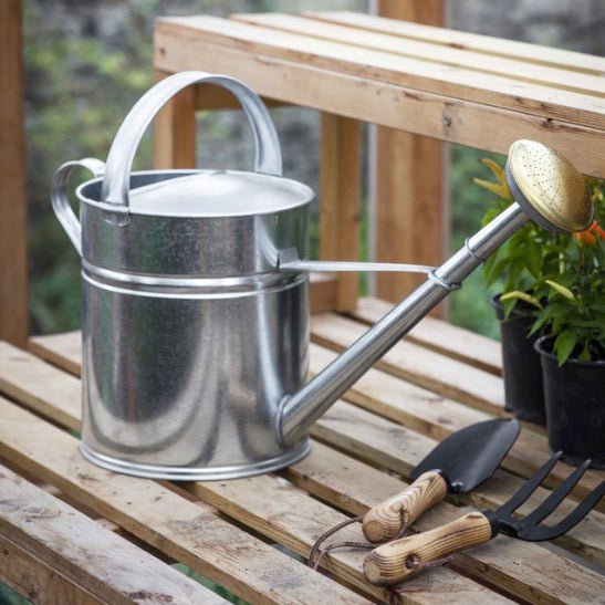 Classic Watering Can - Silver (3 Sizes) - Duck Barn Interiors