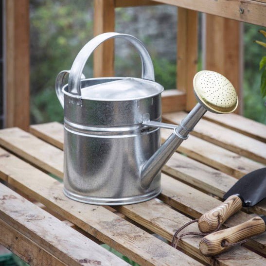 Classic Watering Can - Silver (3 Sizes)2 - Duck Barn Interiors