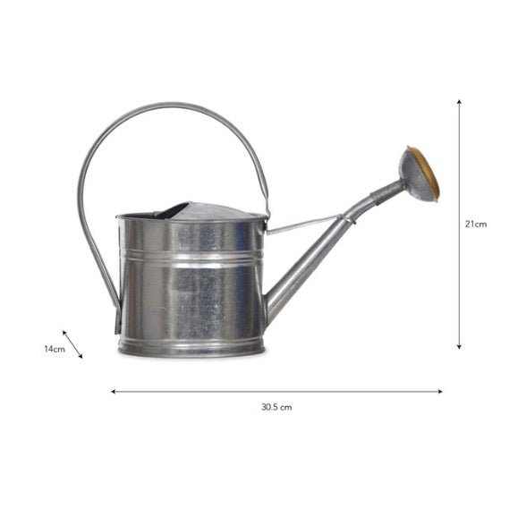 Classic Watering Can - Silver (3 Sizes)6 - Duck Barn Interiors