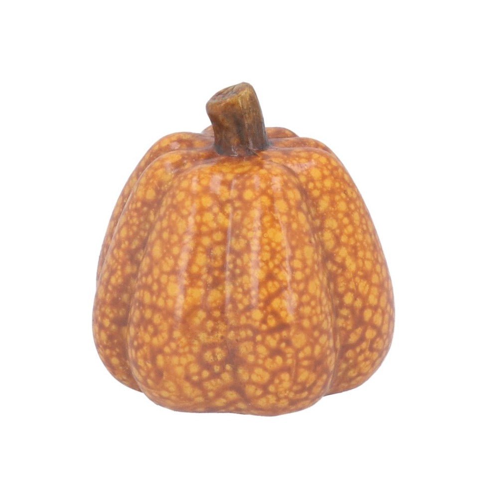 Gisela Graham Ochre Speckle Ceramic Pumpkin - Small1 - Duck Barn Interiors