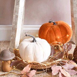 Gisela Graham White Velvet Pumpkin - Small2 - Duck Barn Interiors