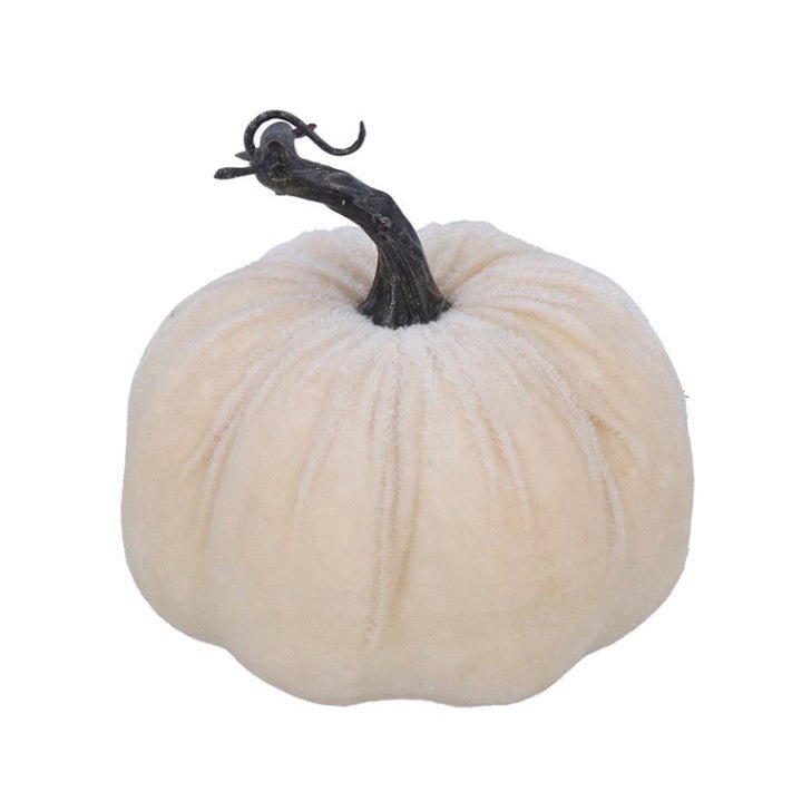 Gisela Graham White Velvet Pumpkin - Small1 - Duck Barn Interiors