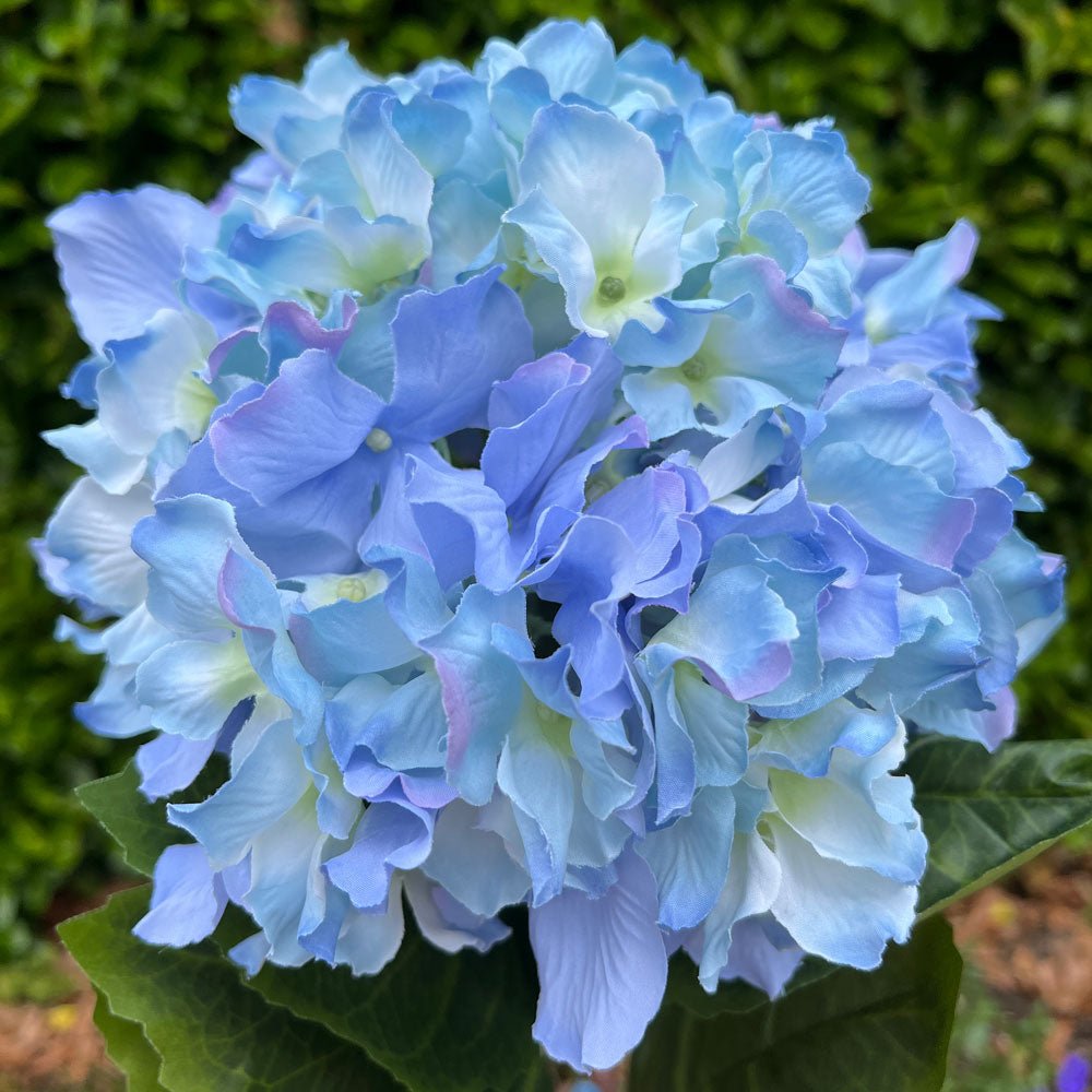 Artificial Giant Pale Blue Hydrangea 101cm1 - Duck Barn Interiors