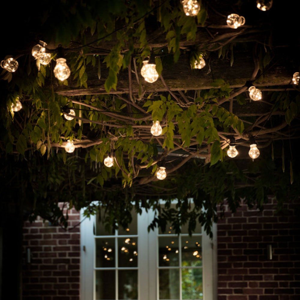 Festoon Classic Lights - Black - Duck Barn Interiors