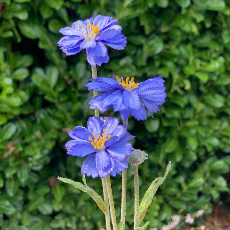 Gisela Graham Artificial Blue Mini Cosmos Stem1 - Duck Barn Interiors