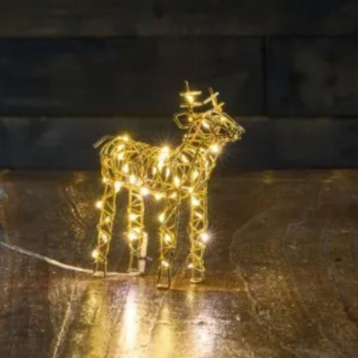 Gold Wire Reindeer with Warm White LEDs - Battery Powered - 2 Sizes3 - Duck Barn Interiors