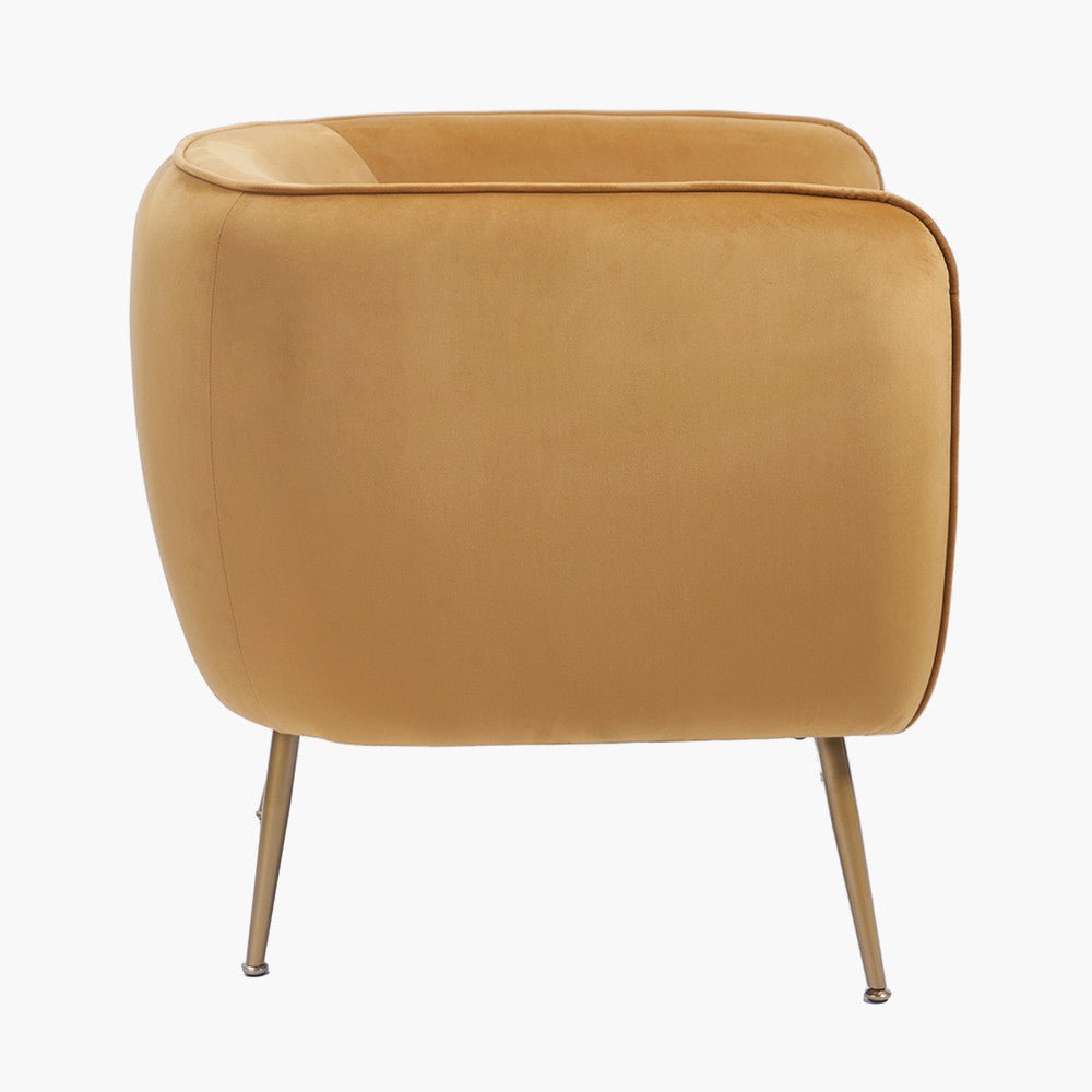 Lucca Gold Velvet Chair with Gold Legs6 - Duck Barn Interiors