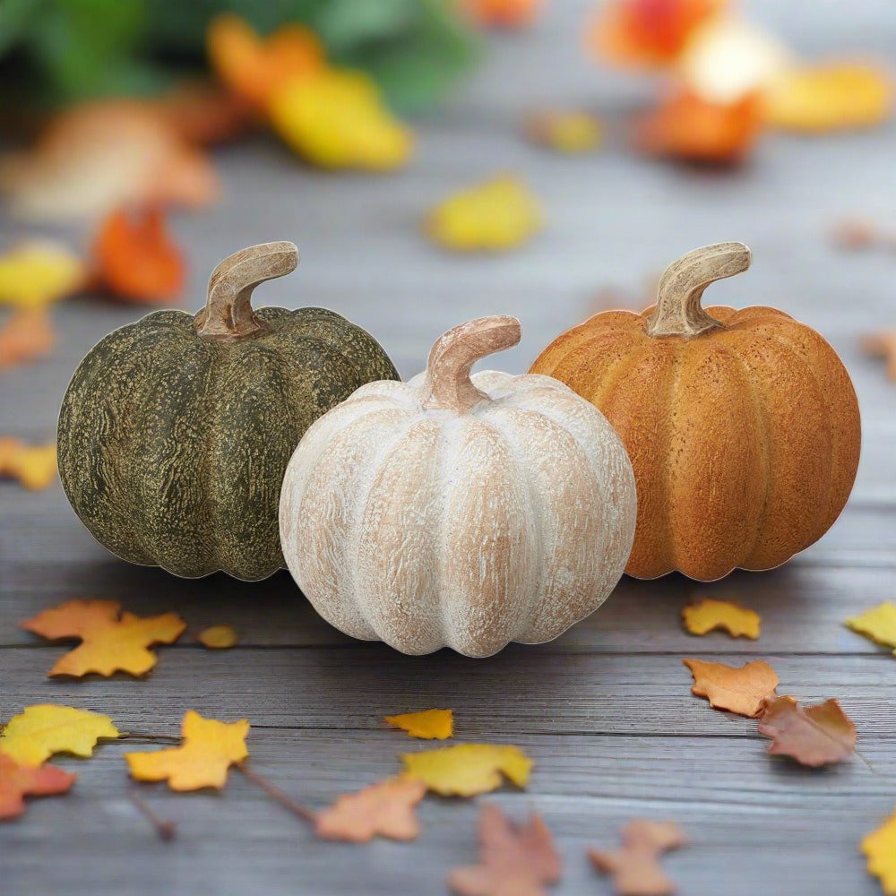 Set of 6 Mixed Coloured Pumpkins - Duck Barn Interiors