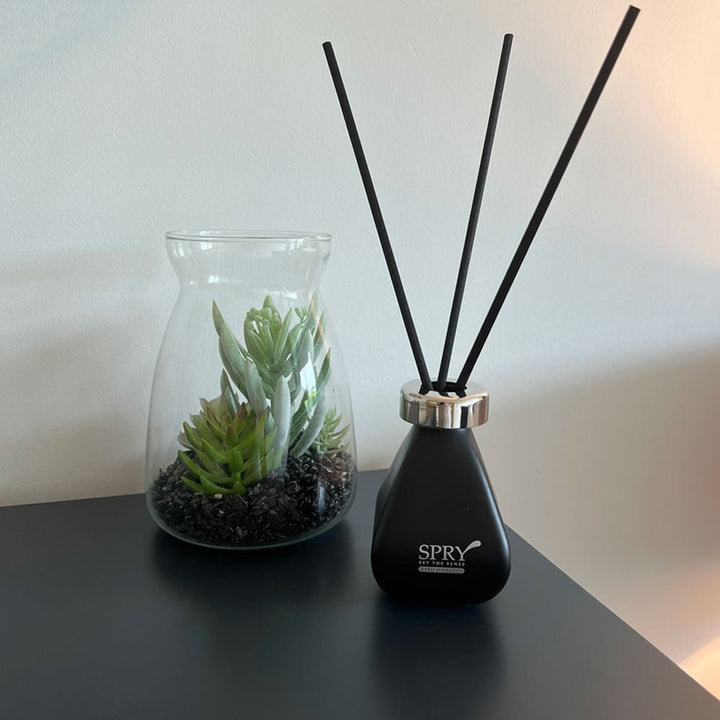 Spry Reed Room Diffuser - Black Glass - Shade of Noir2 - Duck Barn Interiors